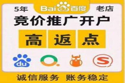 如何在sem竞价托管中取得卓越效果——案例解读
